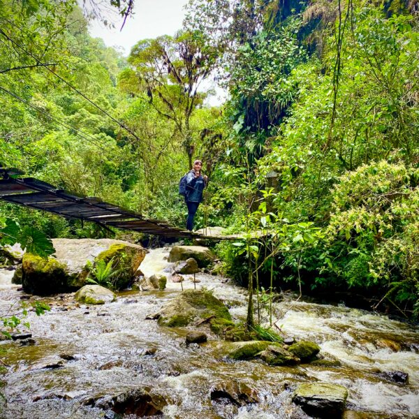 Au cœur de la vallée de Cocora