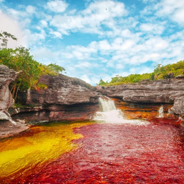 Caños Cristales Colombie