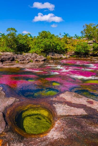 Caños Cristales Colombie